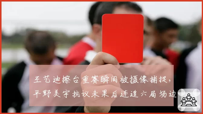 王艺迪擦台重赛瞬间被摄像捕捉,平野美宇抗议未果后连追六局场边战火蔓延至观众席?__br_
