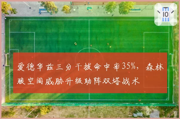 爱德华兹三分干拔命中率35%,森林狼空间威胁升级助阵双塔战术